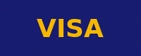 Visa accepted payment method logo at MagicWin